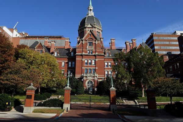 gertrude stein education