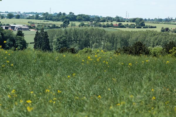 Hertfordshire countryside